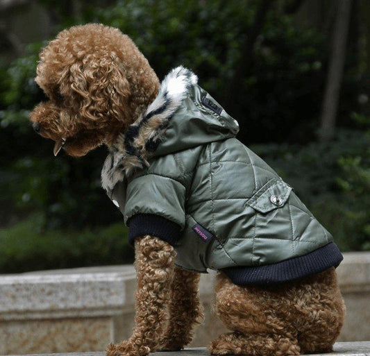 Cozy Canine Couture: Stylish Autumn And Winter Fur Collar Dog Coat-0
